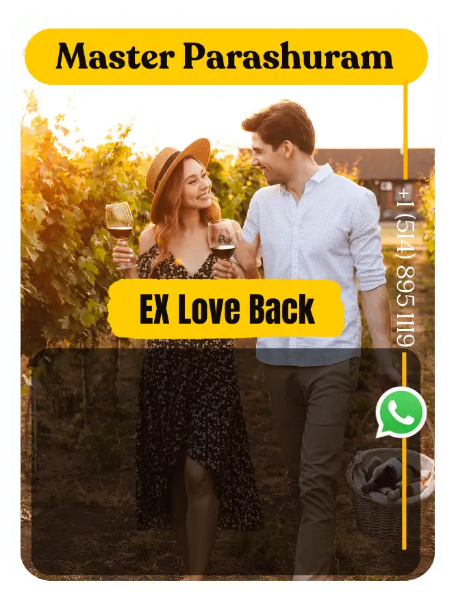 ex love back